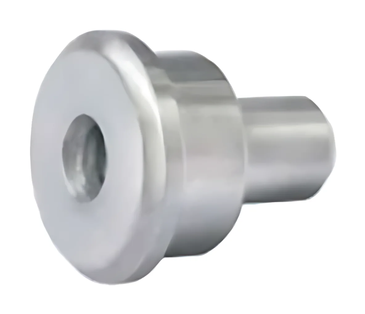 Hydraulic Pump Valve Chamber Plug