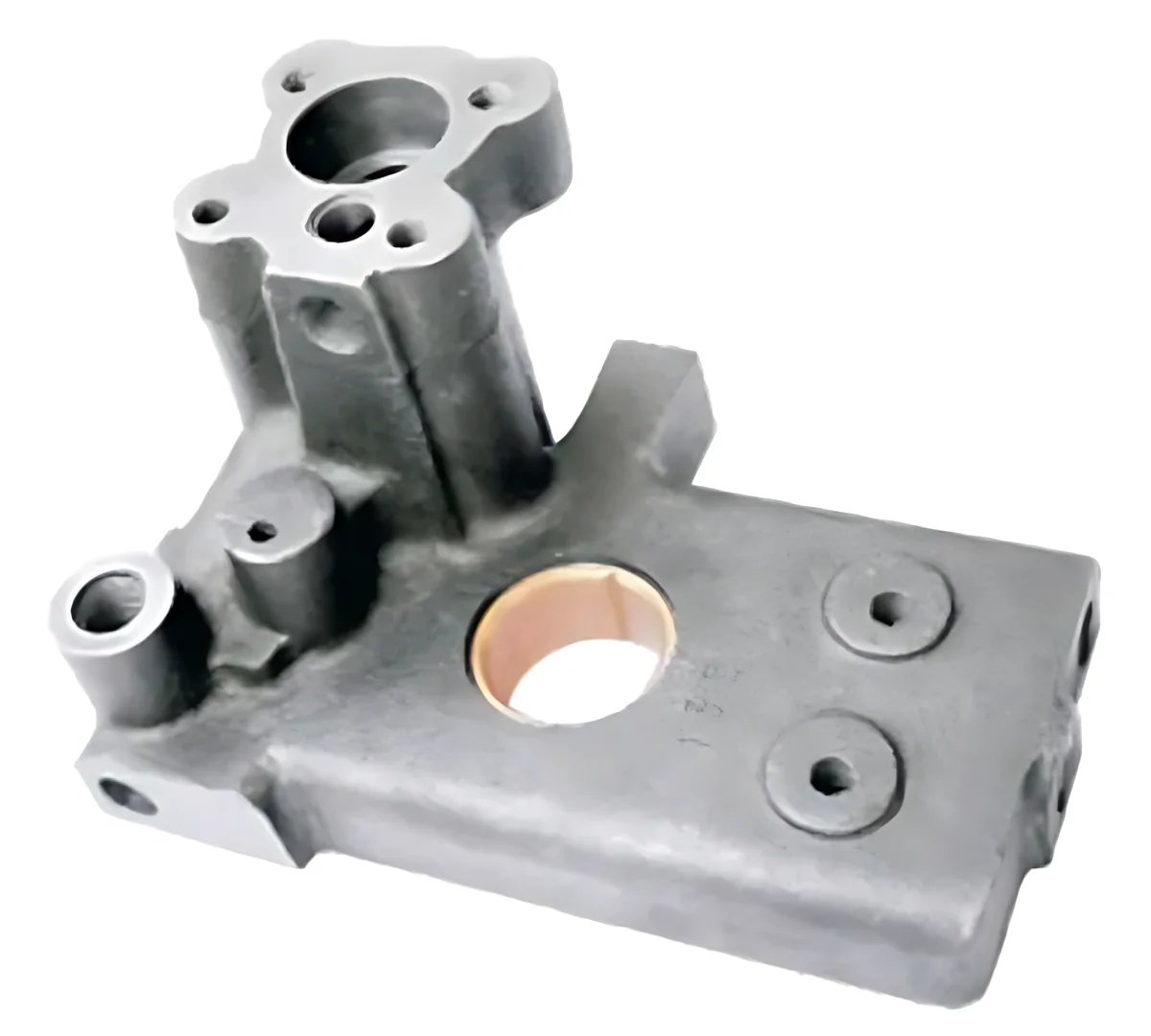 Hydraulic Pump Plate (Big) Rear with Bush and Screw
