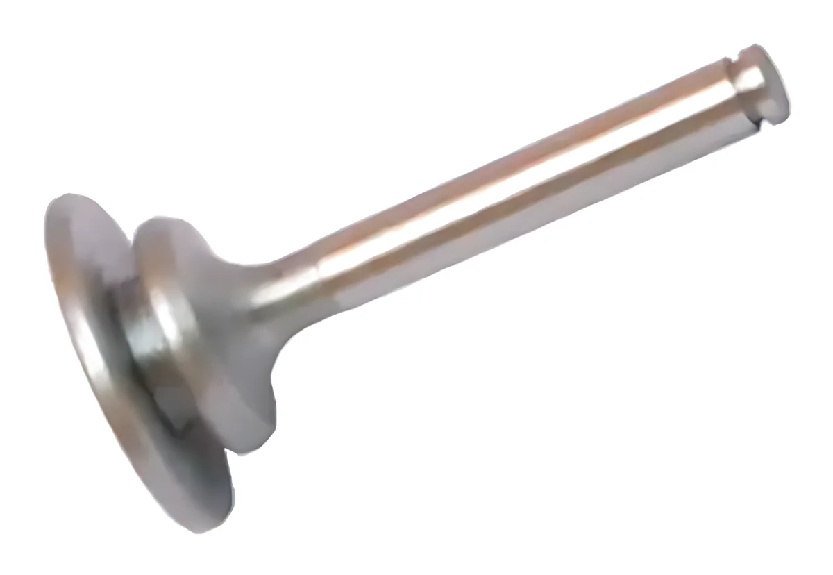 Hydraulic Pump Non Return Valve