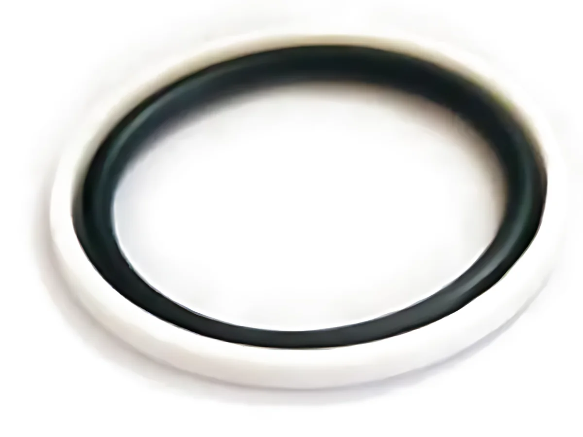 Ram Cylinder Piston Ring Set, White Teflon and Rubber Ring (79 mm, Set of 2)